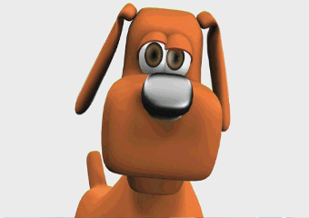 Campaña Limpieza Mascotas